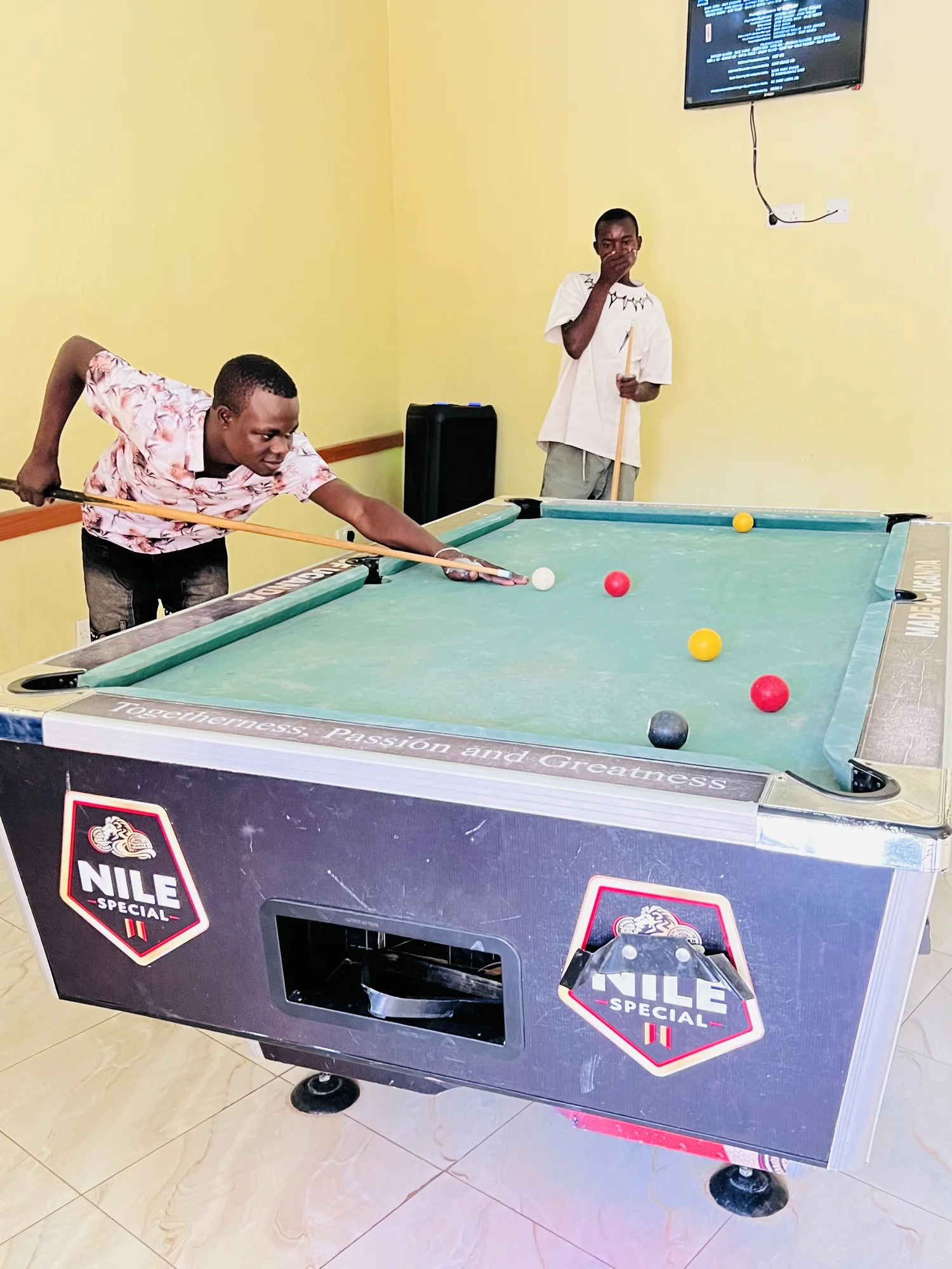 Table pool